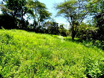Old Runda Estate 1/2 Acre Plot on Distress Sale - Image 7