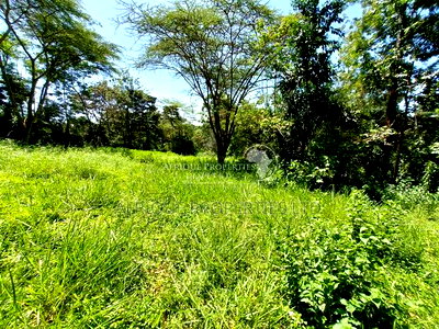 Old Runda Estate 1/2 Acre Plot on Distress Sale - Image 6