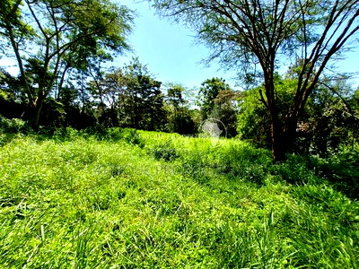 Old Runda Estate 1/2 Acre Plot on Distress Sale - Image 2