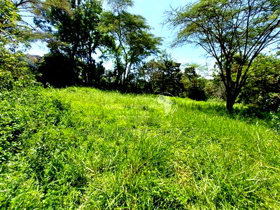 Old Runda Estate 1/2 Acre Plot on Distress Sale - Image 4