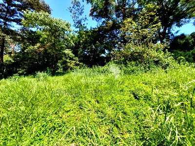 Old Runda Estate 1/2 Acre Plot on Distress Sale - Image 3