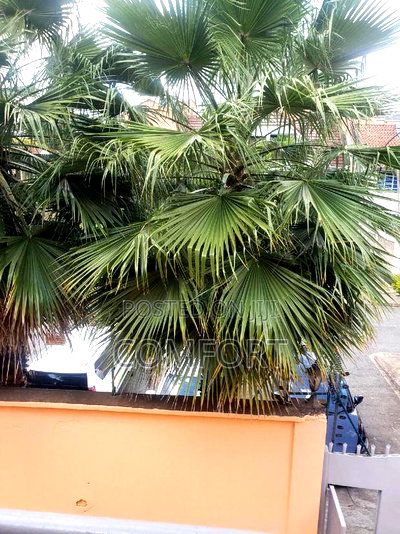 4bdrm Villa in Kileleshwa for rent - Image 17