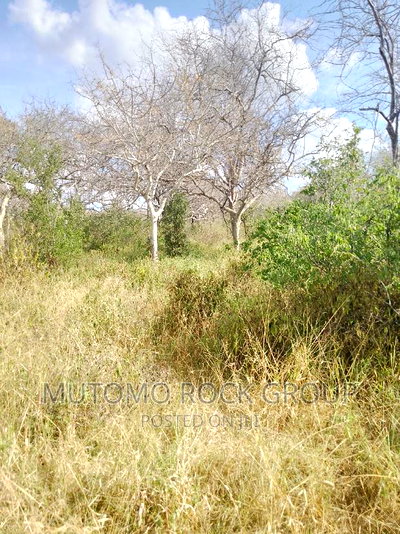 1500 Acres for Sale - Image 2