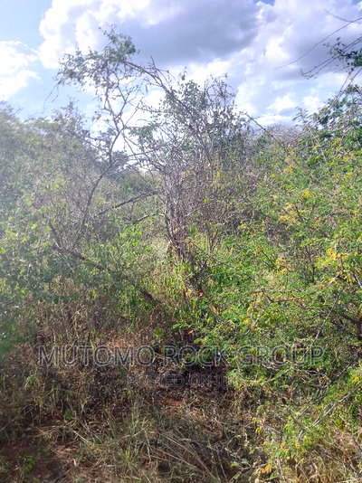 1500 Acres for Sale - Image 4