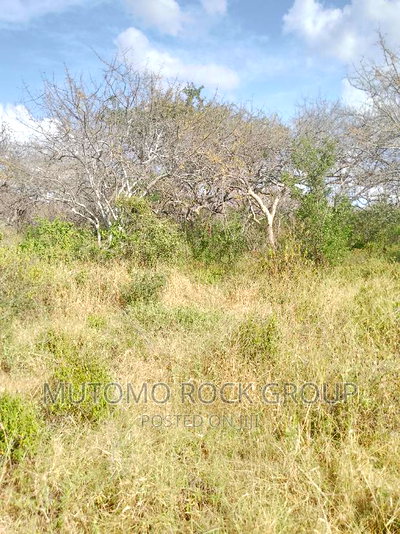 1500 Acres for Sale - Image 1