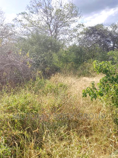 1500 Acres for Sale - Image 3