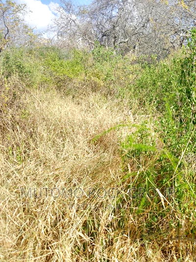 1500 Acres for Sale - Image 7