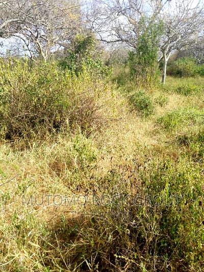 1500 Acres for Sale - Image 6