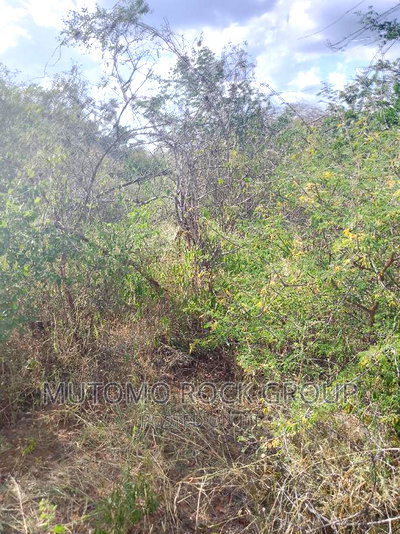 1500 Acres for Sale - Image 5