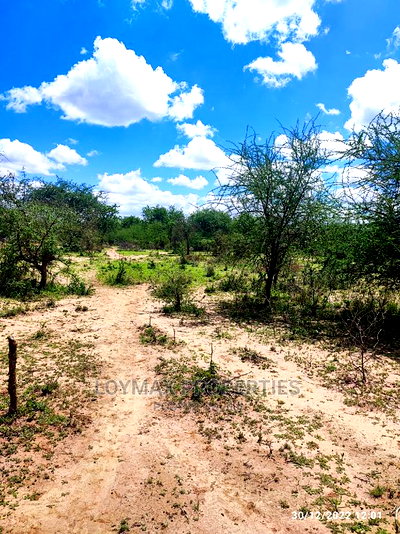 30 Acres for Sale in Ngatatoek Kajiado County - Image 3