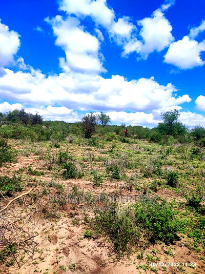 30 Acres for Sale in Ngatatoek Kajiado County - Image 7
