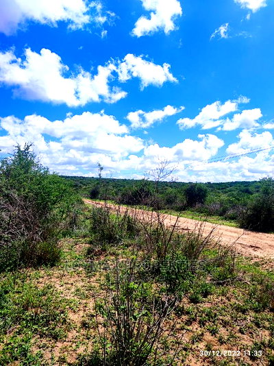 30 Acres for Sale in Ngatatoek Kajiado County - Image 2