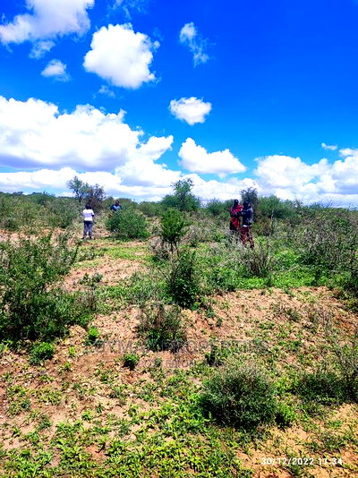 30 Acres for Sale in Ngatatoek Kajiado County - Image 6