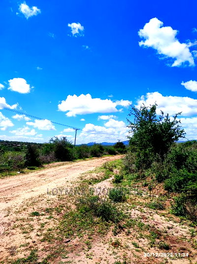 30 Acres for Sale in Ngatatoek Kajiado County - Image 4