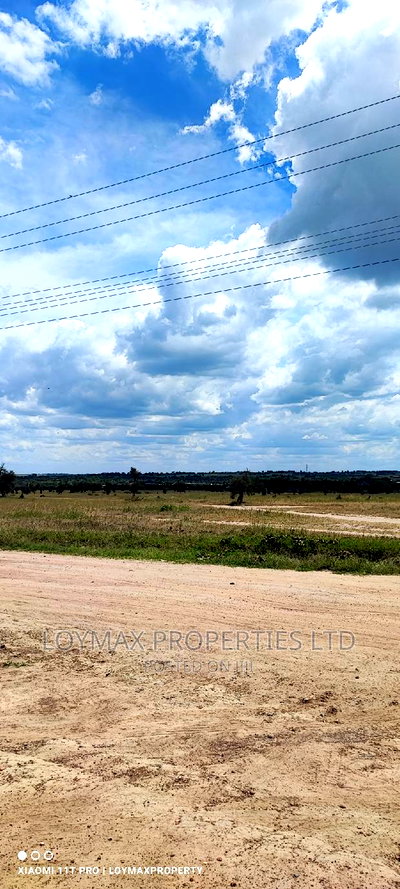 30 Acres for Sale in Ngatatoek Kajiado County - Image 9