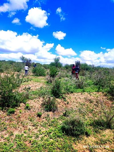 30 Acres for Sale in Ngatatoek Kajiado County - Image 5