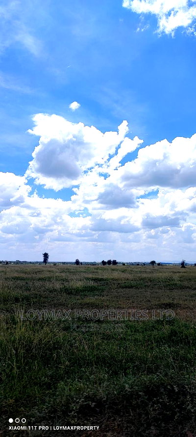 30 Acres for Sale in Ngatatoek Kajiado County - Image 10