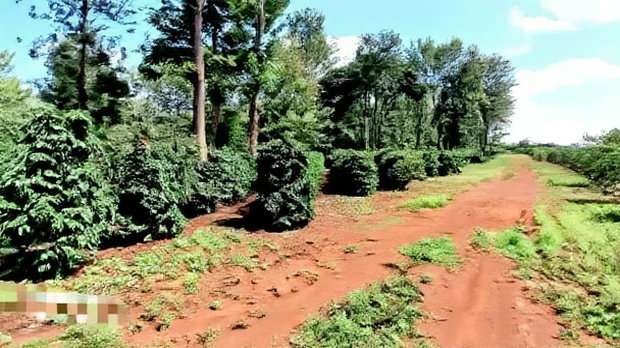 92 Acres for Sale,Thika-Gatanga Highway.