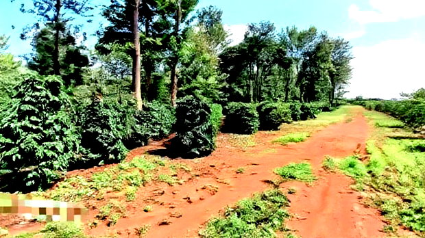 92 Acres for Sale,Thika-Gatanga Highway.
