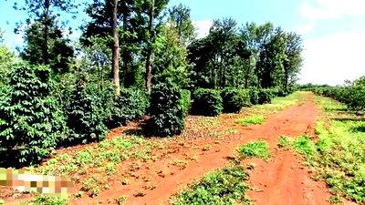 92 Acres for Sale,Thika-Gatanga Highway. - Image 4