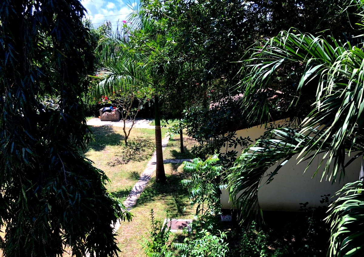 Quarter Acre 3BR Haven with Garden