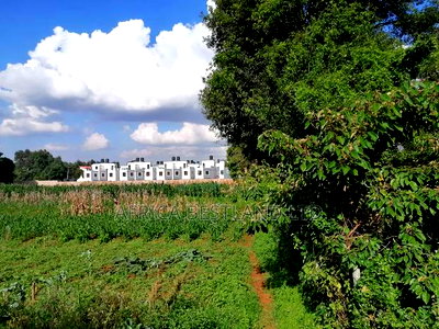 1 Acre 0.4ha Land for Sale in Kikuyu Gikambura - Image 4