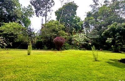 1-Acre Lavington Plot for KSh 200M