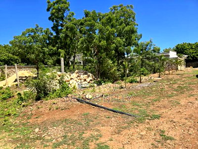 3rd Row Beach Plots for Sale Kilifi Bofa - Image 3