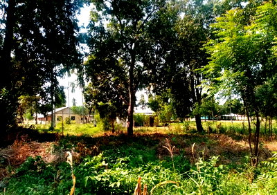 Half Acre Plot in Gede at KSh 2.5M
