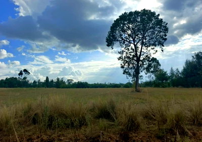 Garden Land with Parking at KSh 2.8M