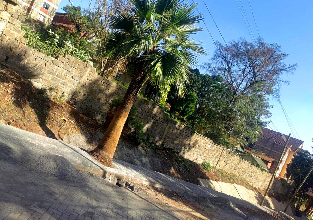 10-Acre Garden Land in Karen