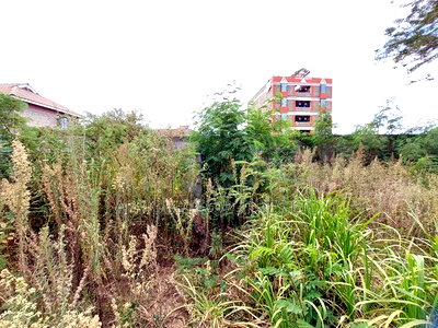 Ruiru Matangi 1/4acre Plot With a Perimeter Wall for Lease. - Image 5