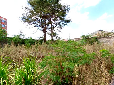Ruiru Matangi 1/4acre Plot With a Perimeter Wall for Lease. - Image 1