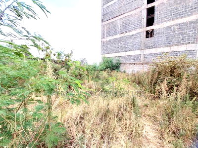 Ruiru Matangi 1/4acre Plot With a Perimeter Wall for Lease. - Image 3