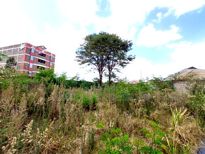 Ruiru Matangi 1/4acre Plot With a Perimeter Wall for Lease. - Image 2