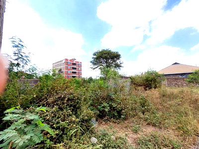 Ruiru Matangi 1/4acre Plot With a Perimeter Wall for Lease. - Image 6