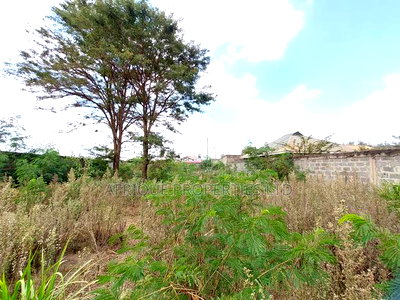 Ruiru Matangi 1/4acre Plot With a Perimeter Wall for Lease. - Image 4