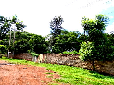 Prime 2.5 Acres , Touching Thika Superhighway - Image 3