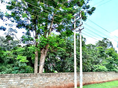 Prime 2.5 Acres , Touching Thika Superhighway - Image 6