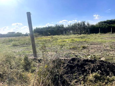 Plot for Lease - Image 4