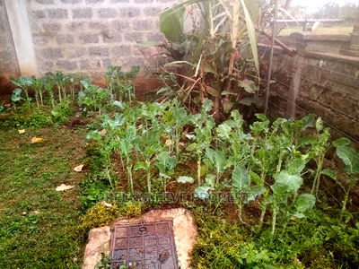 3bdrm Bungalow in Mukoeit West, Karen C for Rent - Image 8