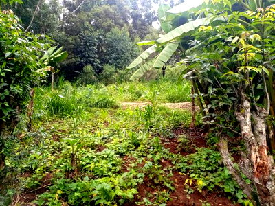 Kikuyu Plot - Image 5