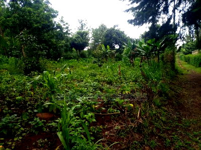 Kikuyu Plot - Image 1