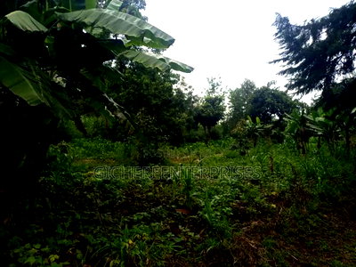 Kikuyu Plot - Image 2