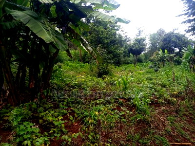 Kikuyu Plot - Image 6