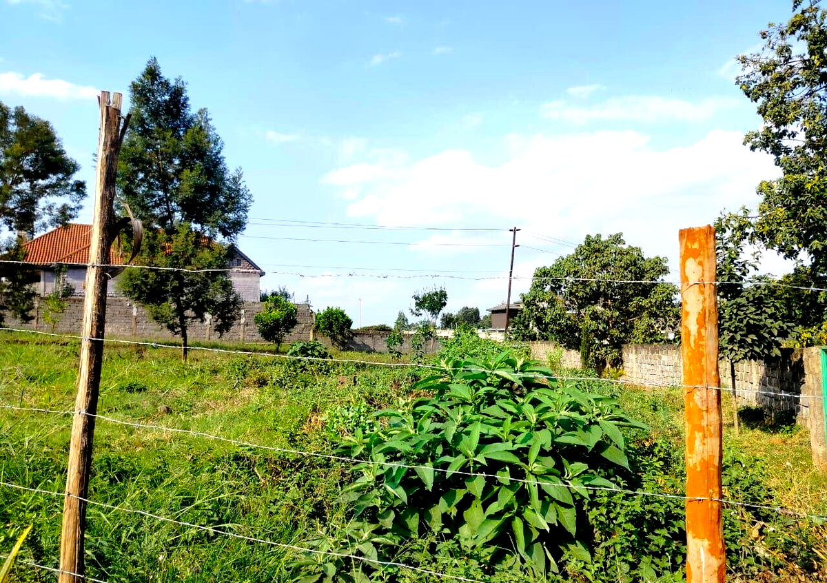 Half Acre Runda Plot at KSh 48M