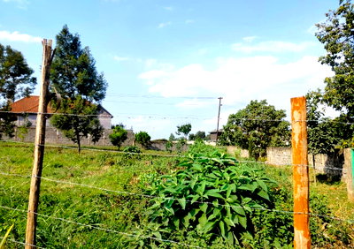 Half Acre Runda Plot at KSh 48M