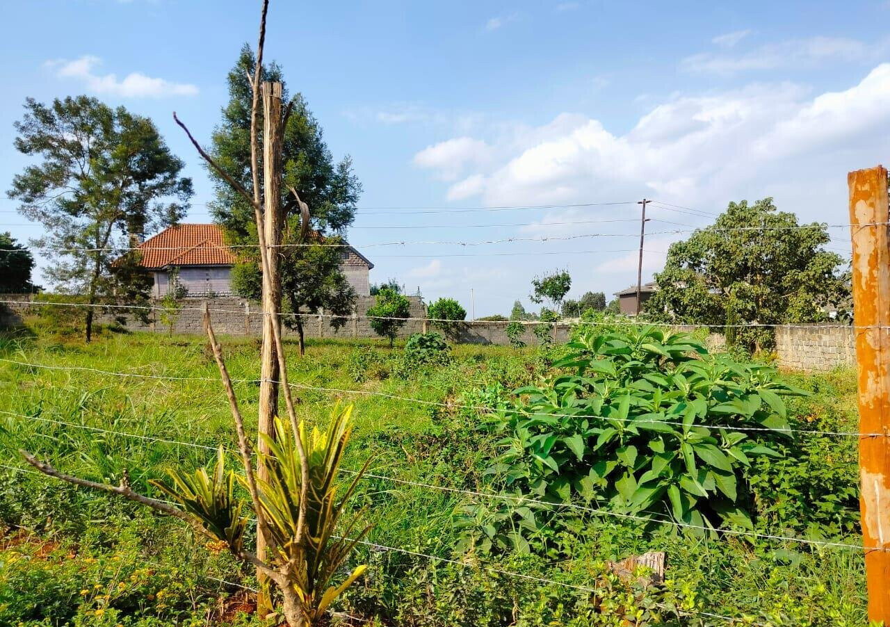 Half Acre Runda Plot at KSh 48M