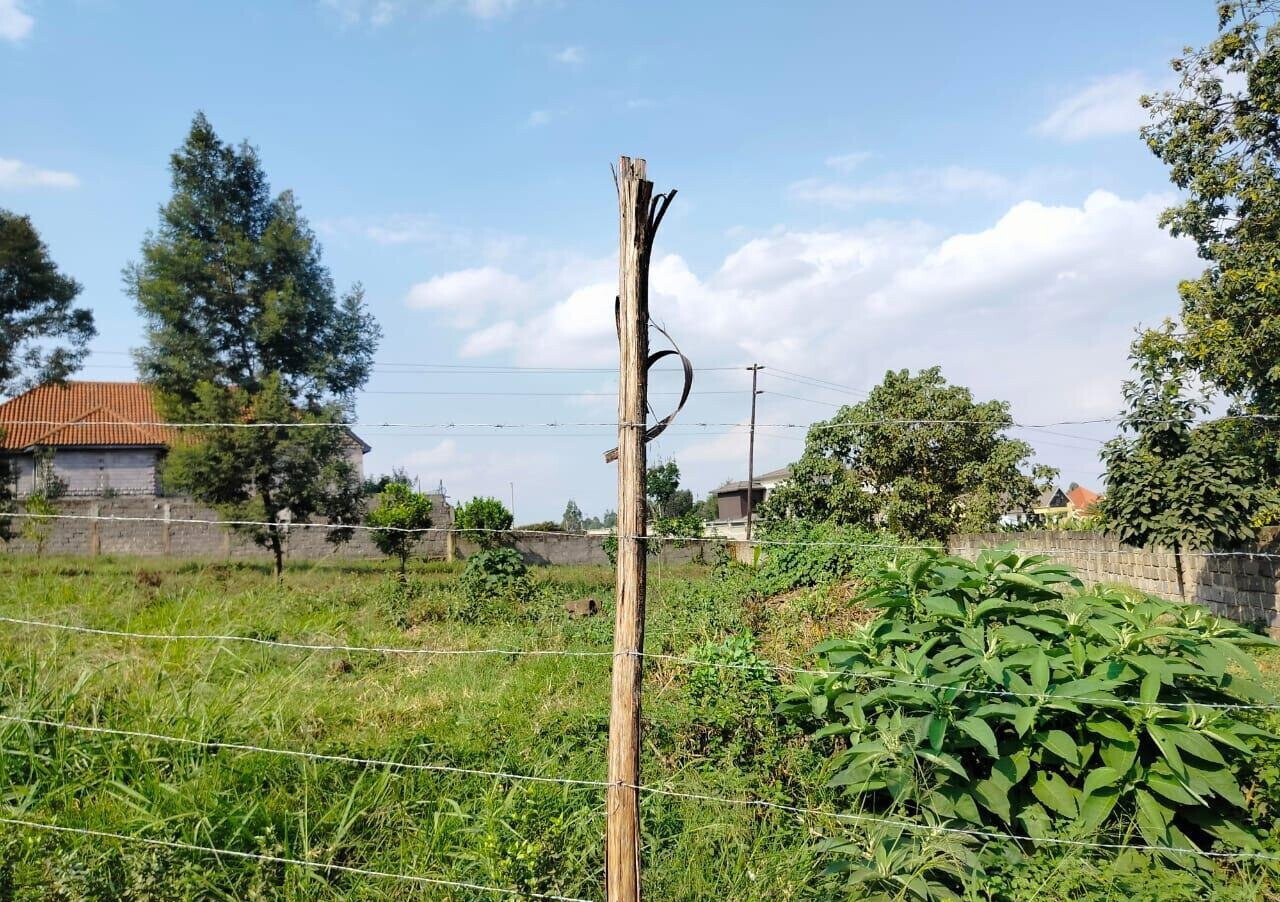 Half Acre Runda Plot at KSh 48M
