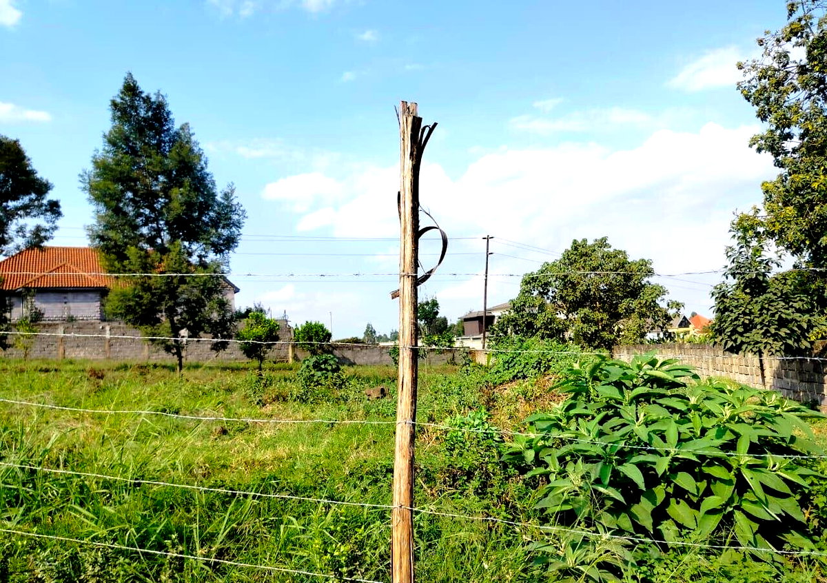 Half Acre Runda Plot at KSh 48M